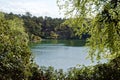 Scenic Lake and Woodlands at the Blue Pool, Dorset, England Royalty Free Stock Photo