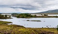 Scenic lakes in Scottish moorlands Royalty Free Stock Photo