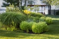 Scenic landcape view of ornamental garden with bushes and different plants at countryside. Landscaping design mown lawn