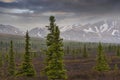 Scenic landscape of the Alaska frontier Royalty Free Stock Photo