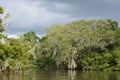 Scenic Landscape of the Barataria Preserve in Louisiana Royalty Free Stock Photo