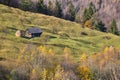 Mountain barn, haystack and a cow Royalty Free Stock Photo