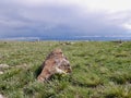 Scenic landscape at Beartooth Pass, Wyoming. USA. Royalty Free Stock Photo