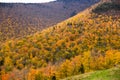 Scenic landscape with beautiful colorful trees in mountains Royalty Free Stock Photo