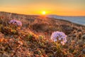 Scenic landscape with beautiful sunset over the arctic tundra Royalty Free Stock Photo