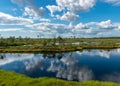 Scenic landscape with blue bog lakes surrounded by small pines and birches and green mosses on a summer day with blue skies and.