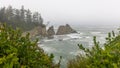 Scenic landscape of Cape Arago state park