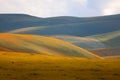 Carrizo plains national monument in California with colorful wildflowers on rolling hills Royalty Free Stock Photo