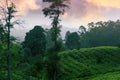 Scenic landscape of Central plateau in Sri Lanka Royalty Free Stock Photo