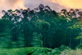 Scenic landscape of Central plateau in Sri Lanka