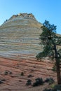 Checkerboard Mesa Zion National Park Royalty Free Stock Photo