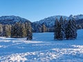 Snowy mountain landscape and fir forest by blue sky, wallpaper Royalty Free Stock Photo
