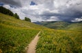 Scenic landscape of Colorado wildflower meadow in the rocky mountains and hiking trail through the meadow Royalty Free Stock Photo