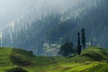 Scenic landscape countryside of Sonamarg, Jammu and Kashmir, India Royalty Free Stock Photo