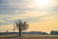 Scenic landscape featuring an open field blanketed in lush green grass Royalty Free Stock Photo