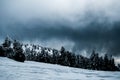 Scenic beautiful winter landscape with snow covered pine trees