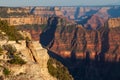 Scenic Grand Canyon North Rim Royalty Free Stock Photo