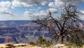 Scenic landscape of the Grand Canyon from the south rim Royalty Free Stock Photo