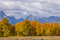 Scenic Landscape in Grand Teton National Park in Autumn Royalty Free Stock Photo