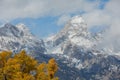 Grand Teton National Park Autumn Landscaep Royalty Free Stock Photo