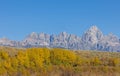 Scenic Landscape in Grand Teton National Park in Autumn Royalty Free Stock Photo