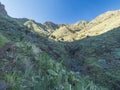 Scenic landscape at hiking trail through Barranco de Guarimiar Gorge. Green mountain canyon slopes with palm trees and