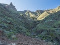 Scenic landscape at hiking trail through Barranco de Guarimiar Gorge. Green mountain canyon slopes with palm trees and