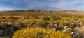 Scenic landscape of hills and wildflowers at Mission creek preserve in Southern California