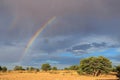 Scenic landscape - Kalahari desert Royalty Free Stock Photo