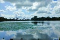 Scenic landscape of lotus pond against blue sky in Ninh Binh, Vietnam Royalty Free Stock Photo