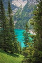 Scenic landscape of a green field, with a backdrop of tall pine trees and the majestic mountains Royalty Free Stock Photo