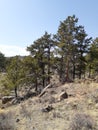 Scenic landscape Wyoming hiking Curt Gowdy State Park. Royalty Free Stock Photo