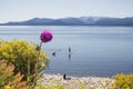 Scenic landscape of Nahuel Huapi Lake near San Carlos de Bariloche, Argentina. Royalty Free Stock Photo