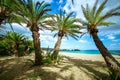 Scenic landscape of palm trees, turquoise water and tropical beach, Vai, Crete. Royalty Free Stock Photo