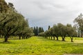 Scenic landscape in the Park of the Appian Way in Rome