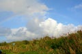 Rainbow Over Haleiwa Beach Royalty Free Stock Photo