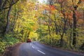 Colourful Maple Trees Tunnel and Road along Oirase River, Japan Royalty Free Stock Photo