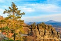 Scenic landscape with rocky cliffs and pine tree at sunset in saxon switzerland Royalty Free Stock Photo
