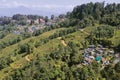 Scenic landscape of singamari tea garden and mountain village, offbeat place of darjeeling on himalayan foothills Royalty Free Stock Photo