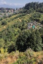 Scenic landscape of singamari tea garden and mountain village, offbeat place of darjeeling on himalayan foothills Royalty Free Stock Photo