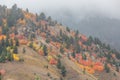 Snake River Canyon Wyoming in Fall