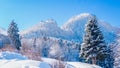 Scenic landscape of snow-covered trees and mountains in Reutte, Austria Royalty Free Stock Photo