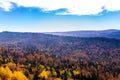 Scenic landscape with trees in mountains Royalty Free Stock Photo