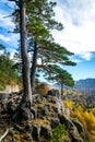 Scenic landscape with trees in mountains Royalty Free Stock Photo