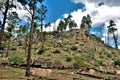 Apache Sitgreaves National Forests, Arizona, United States