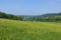 Scenic Landscape View of a Grass Field Royalty Free Stock Photo
