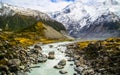 Valley, Aoraki/Mount Cook National Park, New Zealand Royalty Free Stock Photo