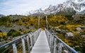 Valley, Aoraki/Mount Cook National Park, New Zealand Royalty Free Stock Photo