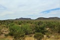 Joshua Tree Forest Parkway, Scenic Route 93, Arizona, United States