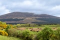 Scenic landscape view of lush rural agricultural land in central Scotland Royalty Free Stock Photo